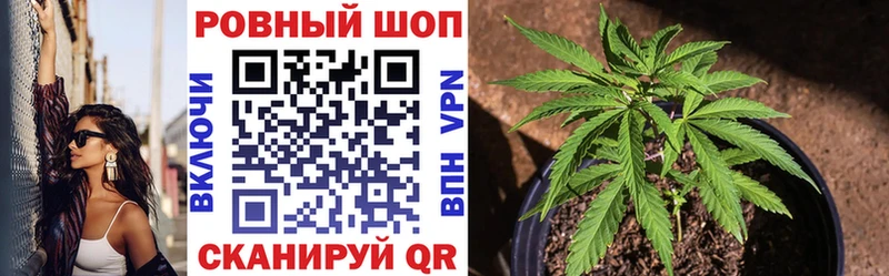 Где купить наркотики Кашин Галлюциногенные грибы  МЕФ  Гашиш  МАРИХУАНА 