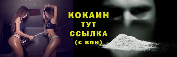 твердый Алексин