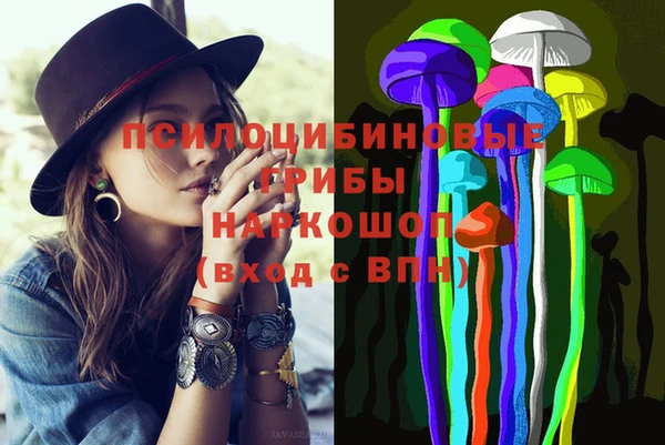 твердый Алексин